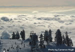 Mount Seymour